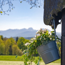 2026_18erBittgang_05