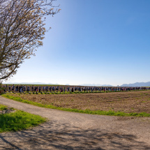 2026_18erBittgang_10