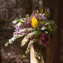 2026_18erBittgang_22